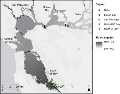 Stress gradients structure spatial variability in coastal tidal marsh plant composition and diversity in a major Pacific coast estuary